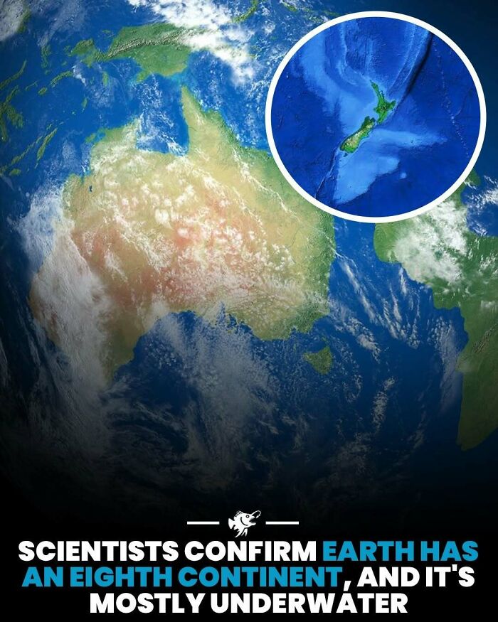Wait, They Actually Shared These Crazy Ocean Facts?!