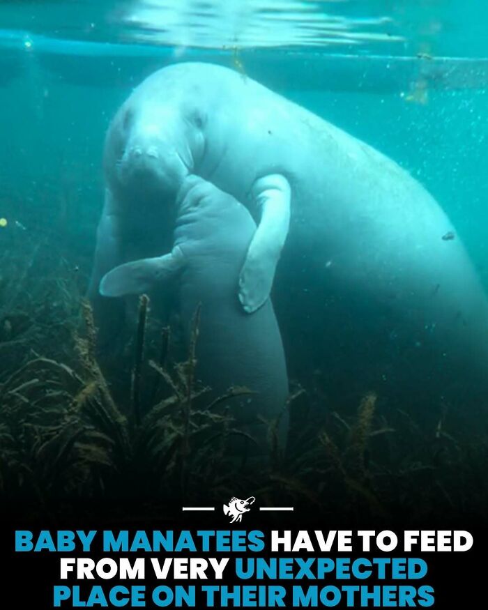 Wait, They Actually Shared These Crazy Ocean Facts?!