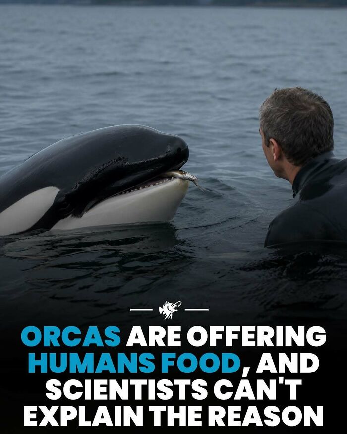 Wait, They Actually Shared These Crazy Ocean Facts?!