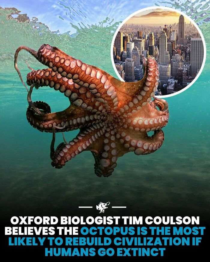 Wait, They Actually Shared These Crazy Ocean Facts?!