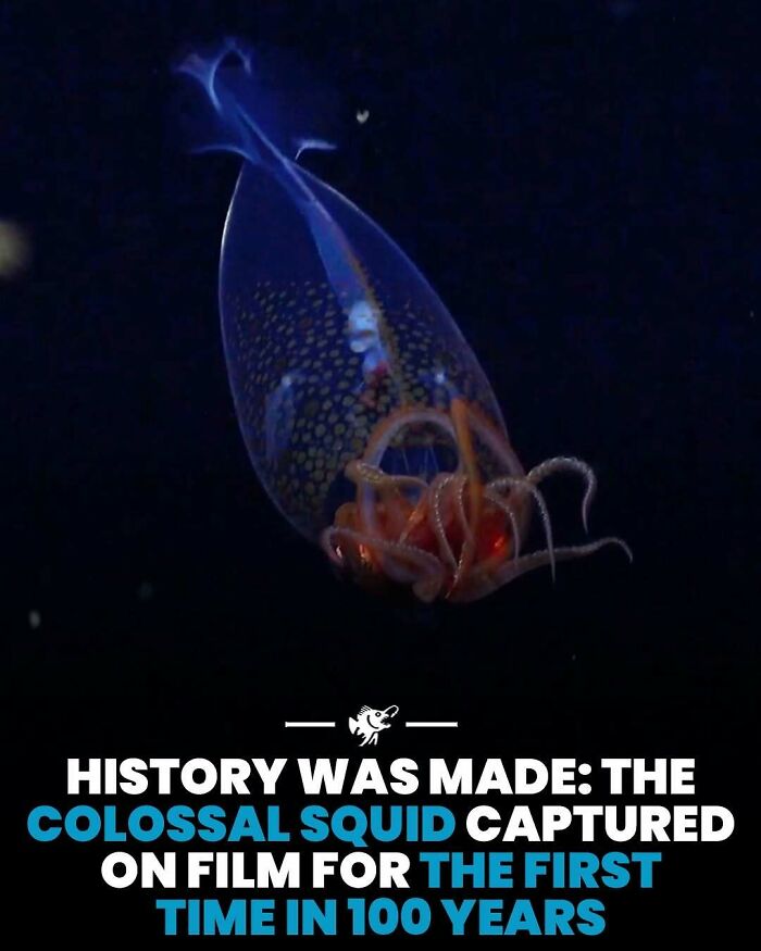 Wait, They Actually Shared These Crazy Ocean Facts?!