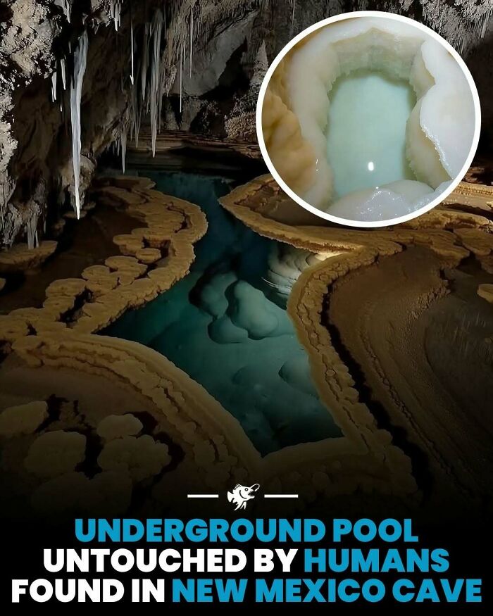 Wait, They Actually Shared These Crazy Ocean Facts?!