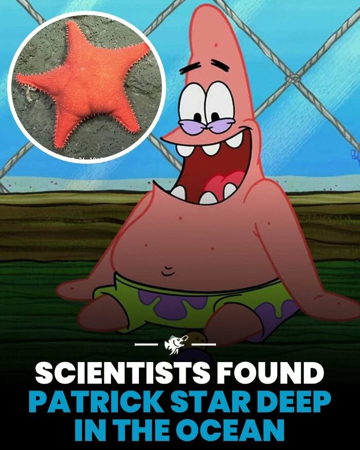 Wait, They Actually Shared These Crazy Ocean Facts?!