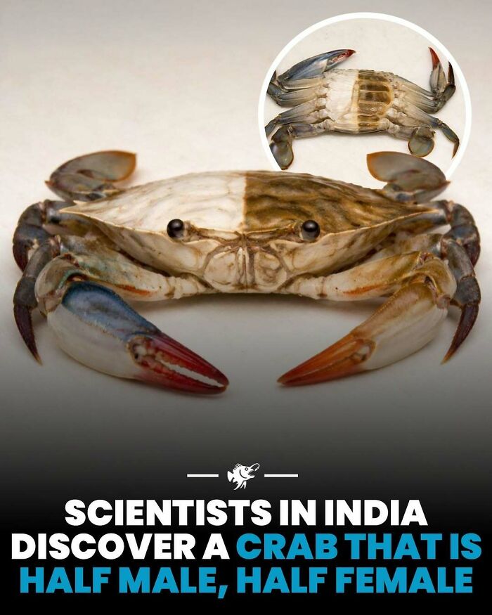 Wait, They Actually Shared These Crazy Ocean Facts?!