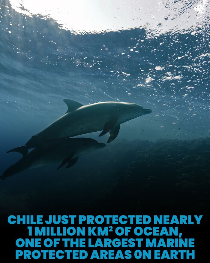 Wait, They Actually Shared These Crazy Ocean Facts?!