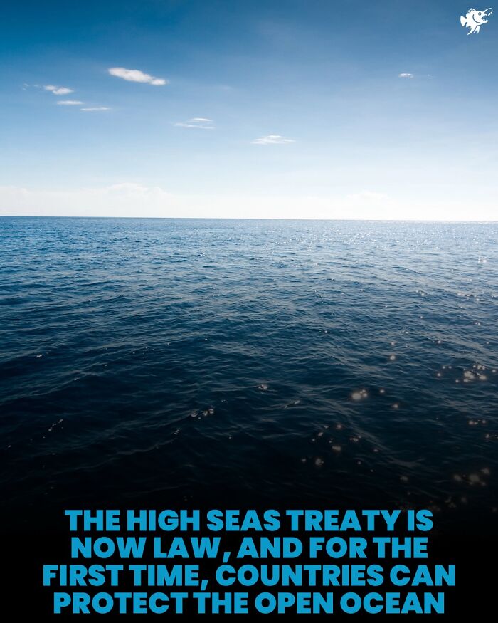 Wait, They Actually Shared These Crazy Ocean Facts?!