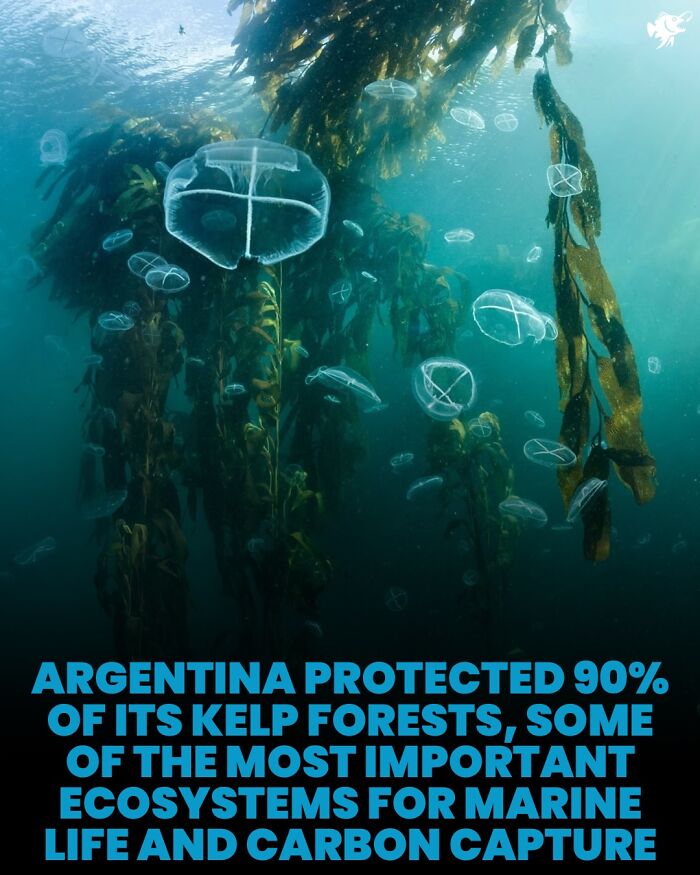 Wait, They Actually Shared These Crazy Ocean Facts?!