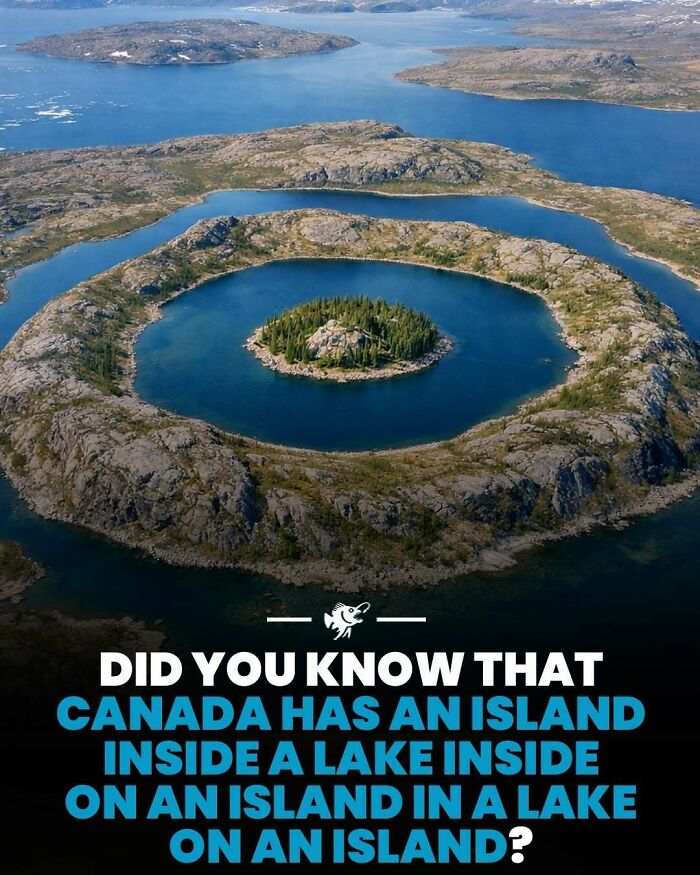 Wait, They Actually Shared These Crazy Ocean Facts?!