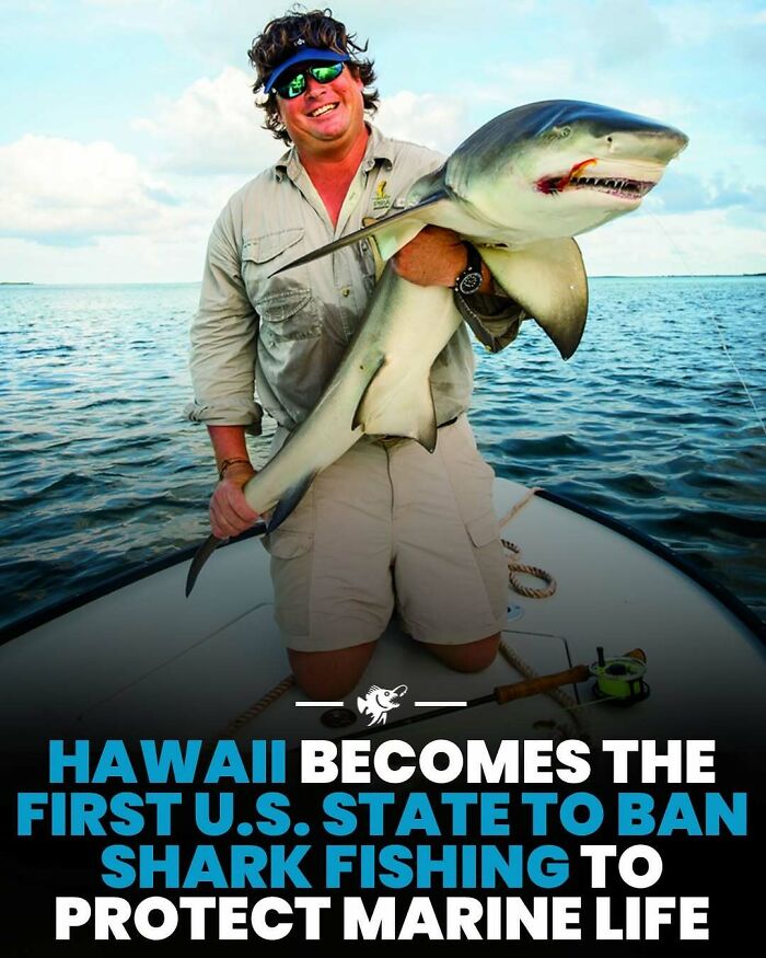Wait, They Actually Shared These Crazy Ocean Facts?!