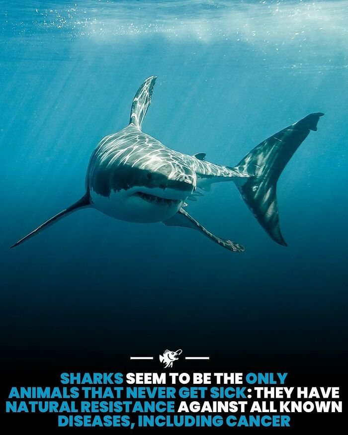 Wait, They Actually Shared These Crazy Ocean Facts?!