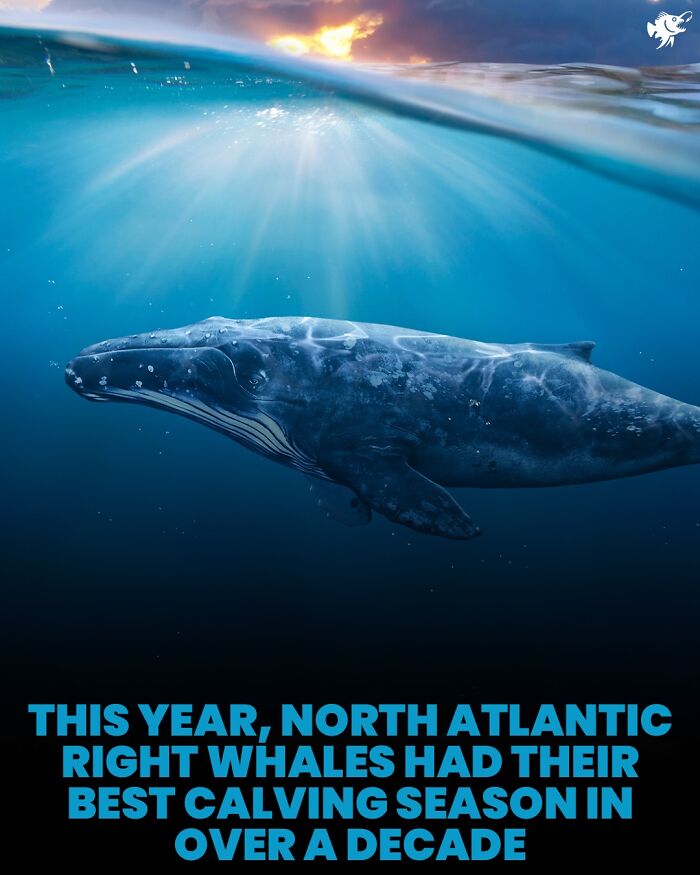 Wait, They Actually Shared These Crazy Ocean Facts?!