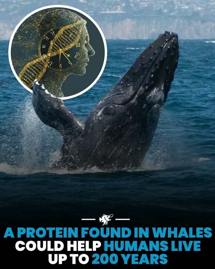 Wait, They Actually Shared These Crazy Ocean Facts?!