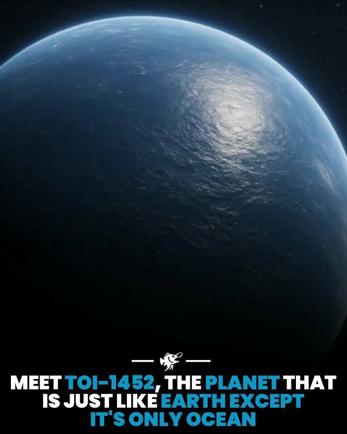 Wait, They Actually Shared These Crazy Ocean Facts?!