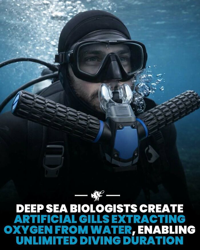 Wait, They Actually Shared These Crazy Ocean Facts?!