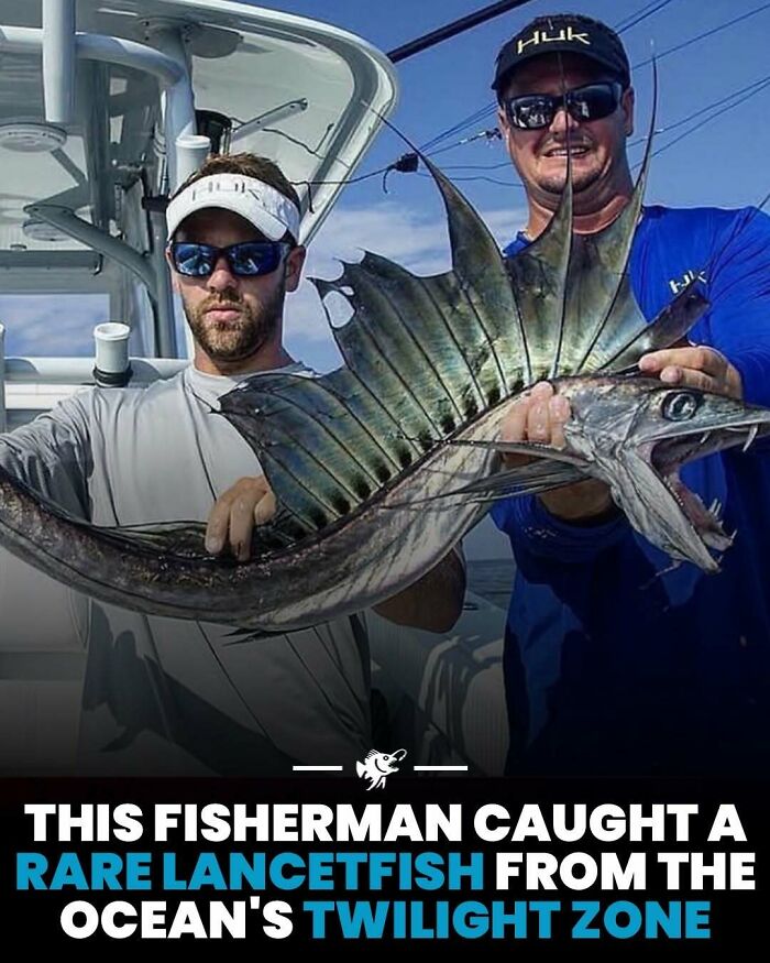 Wait, They Actually Shared These Crazy Ocean Facts?!