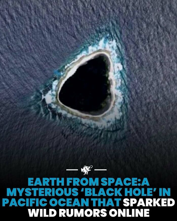 Wait, They Actually Shared These Crazy Ocean Facts?!