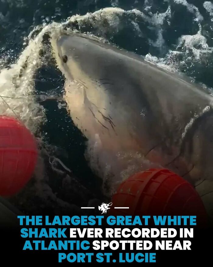 Wait, They Actually Shared These Crazy Ocean Facts?!