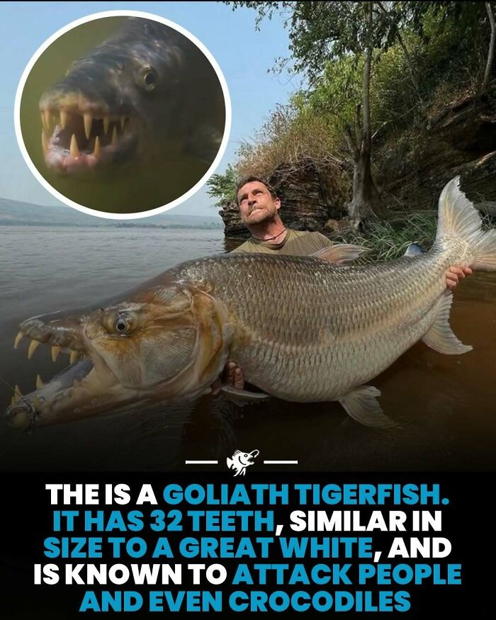 Wait, They Actually Shared These Crazy Ocean Facts?!