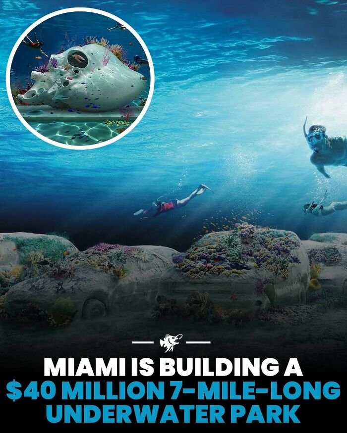 Wait, They Actually Shared These Crazy Ocean Facts?!