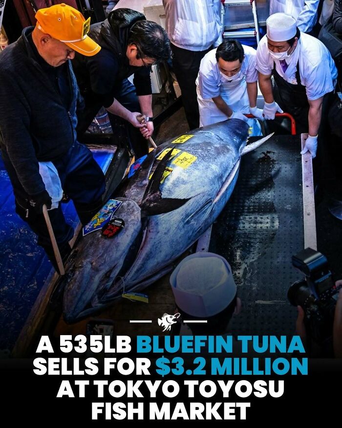 Wait, They Actually Shared These Crazy Ocean Facts?!