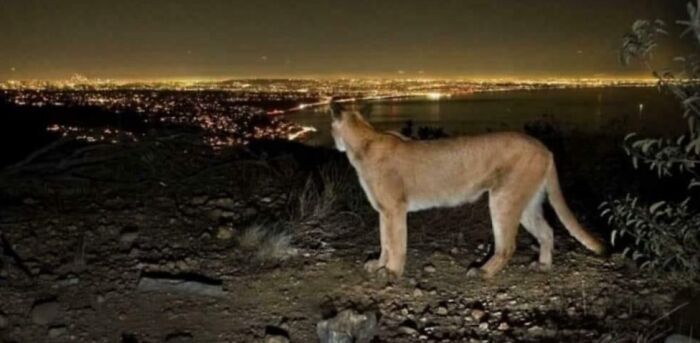 Wait... People Actually Live Here? 64 Wild Urban Nightmares You Won't Believe Exist