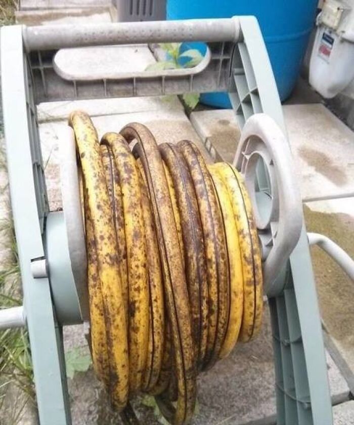 Wildest Science Fails That'll Make You Go 'Wait, For Real?!'