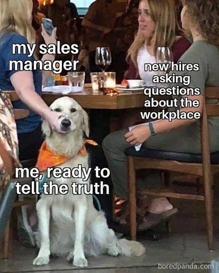 Wait, They Actually Made Memes About Sales People? Yes, And They're Hilarious!