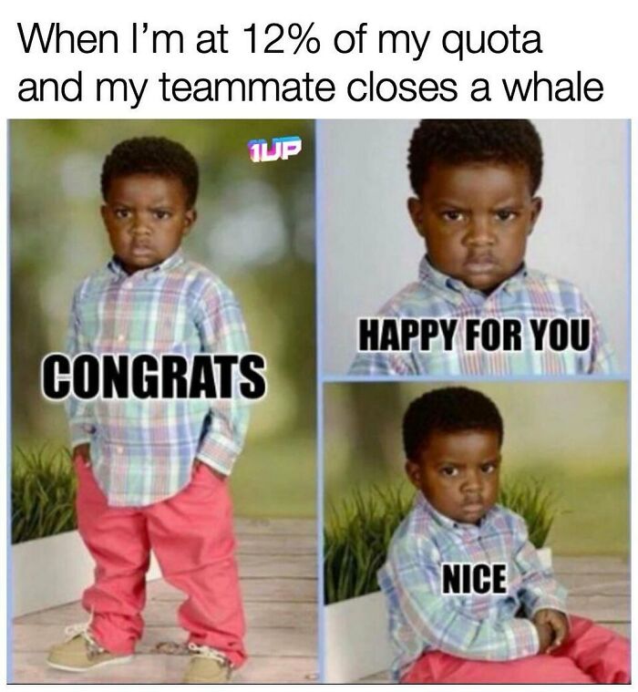 Wait, They Actually Made Memes About Sales People? Yes, And They're Hilarious!