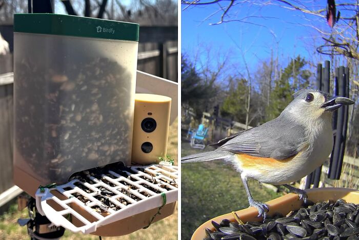 This Camera Bird Feeder Means Dad Gets The Best Seat In The House Without Ever Going Outside