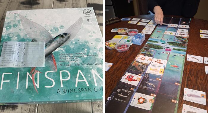 Board Game Night Hits A Whole New Level With Finspan — Dad Will Clear The Table ASAP