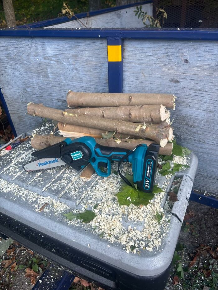 Give Dad This Mini Electric Chainsaw and Tell Him He’s Officially The Backyard Boss
