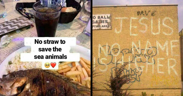 Wait, They Actually Collected These Ironic Gems?