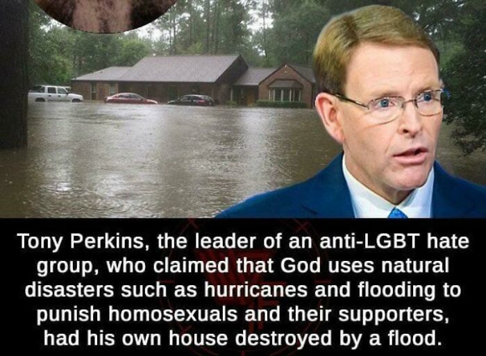 Wait, They Actually Collected These Ironic Gems?