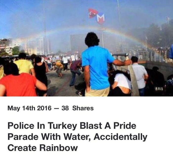 Wait, They Actually Collected These Ironic Gems?