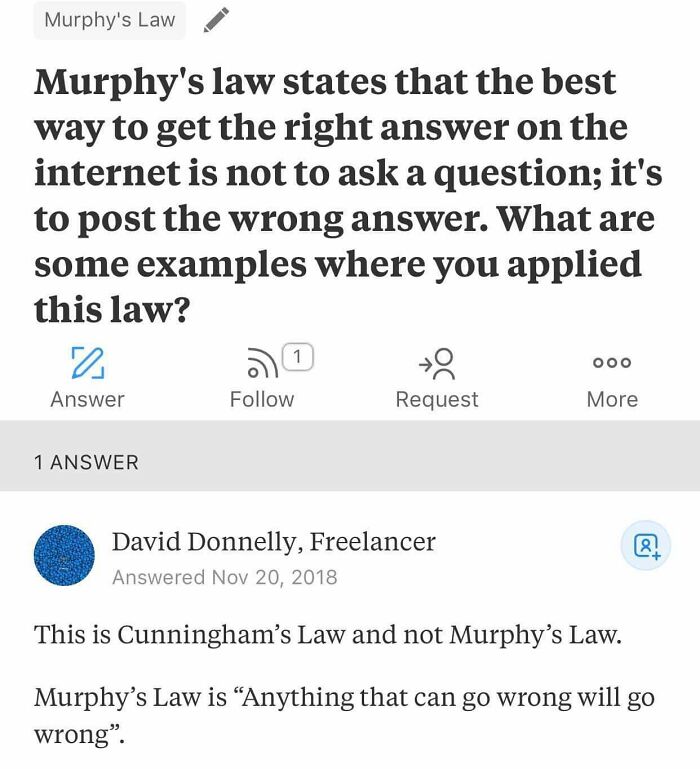 Wait, They Actually Collected These Ironic Gems?