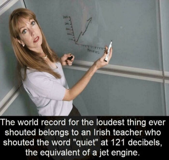 Wait, They Actually Collected These Ironic Gems?