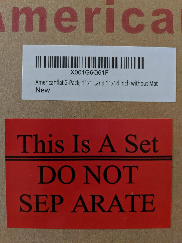 Wait, They Actually Collected These Ironic Gems?