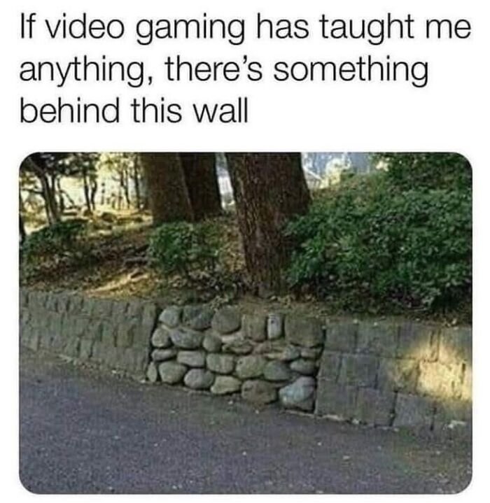Wait, They Actually Ranked These Memes?!