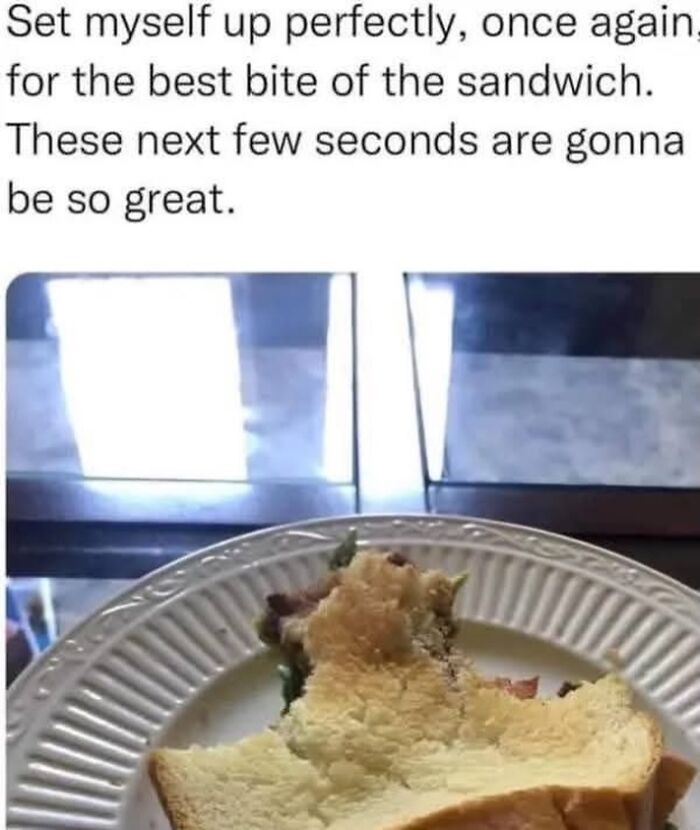 Wait, They Actually Ranked These Memes?!