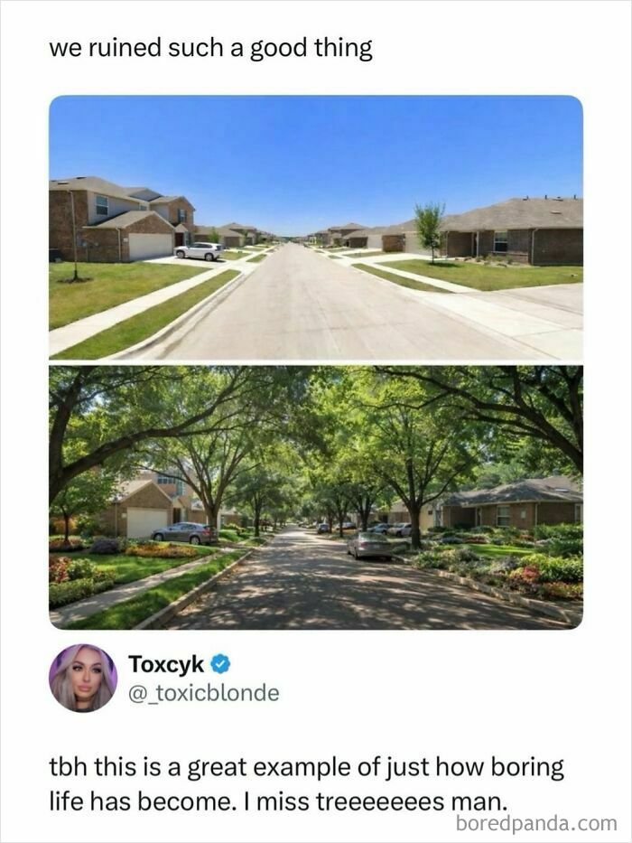 Wait, They Actually Ranked These Memes?!
