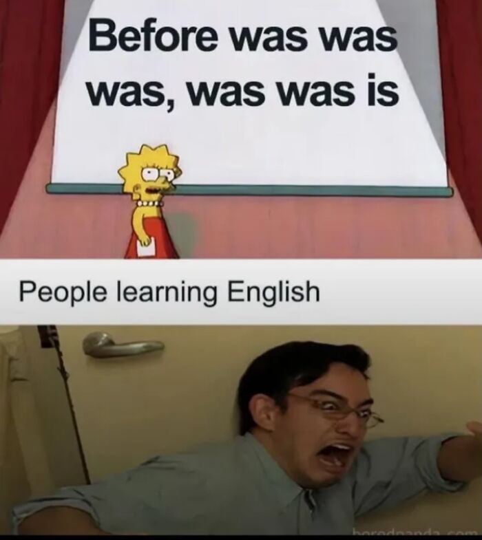 Wait, They Actually Ranked These Memes?!