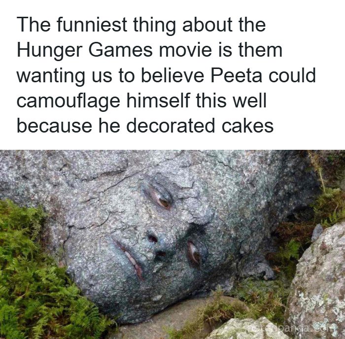 Wait, They Actually Ranked These Memes?!