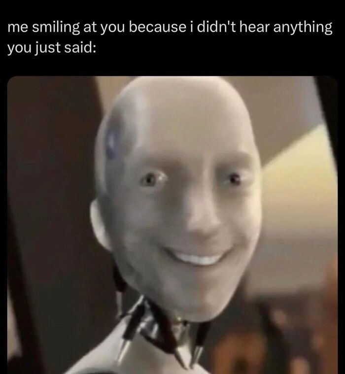 Wait, They Actually Ranked These Memes?!