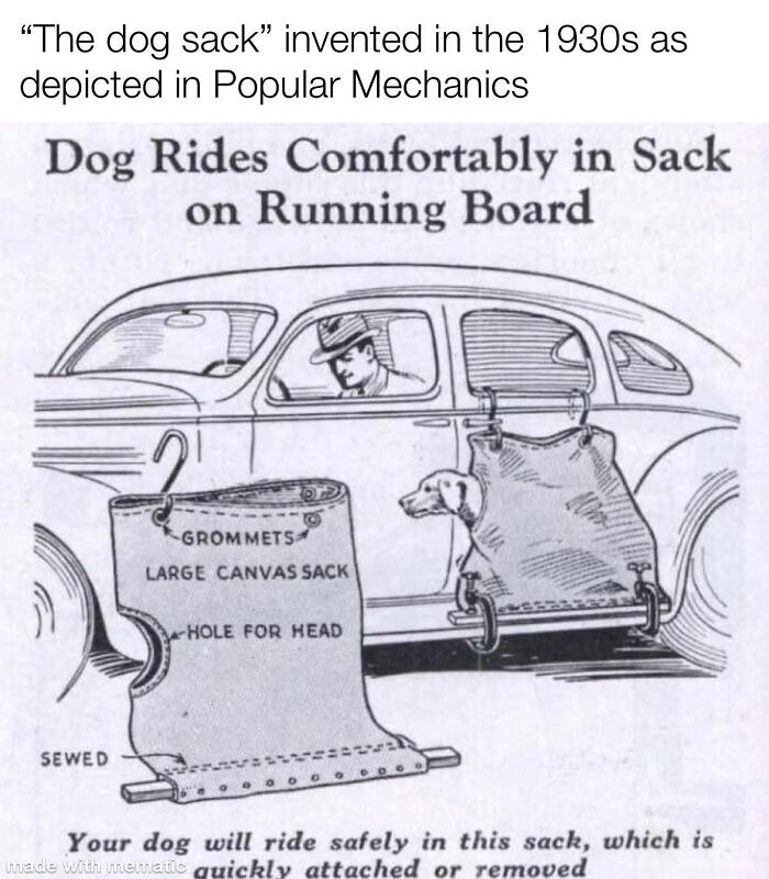 Wait, They Actually Ranked These Memes?!