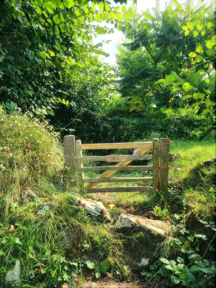 My Little Fairy Gate (Magic Included)