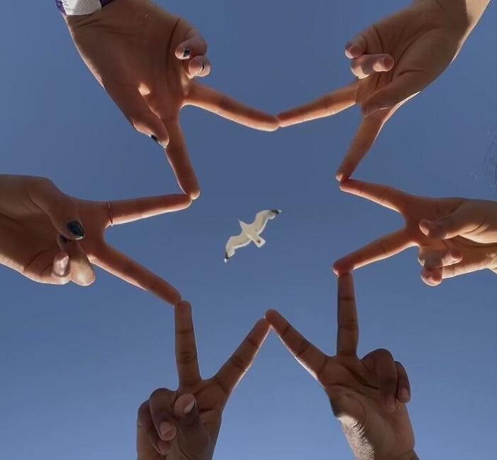 A Bird Accidentally Joined Our Star Photo (Coolest Photobomb Ever)
