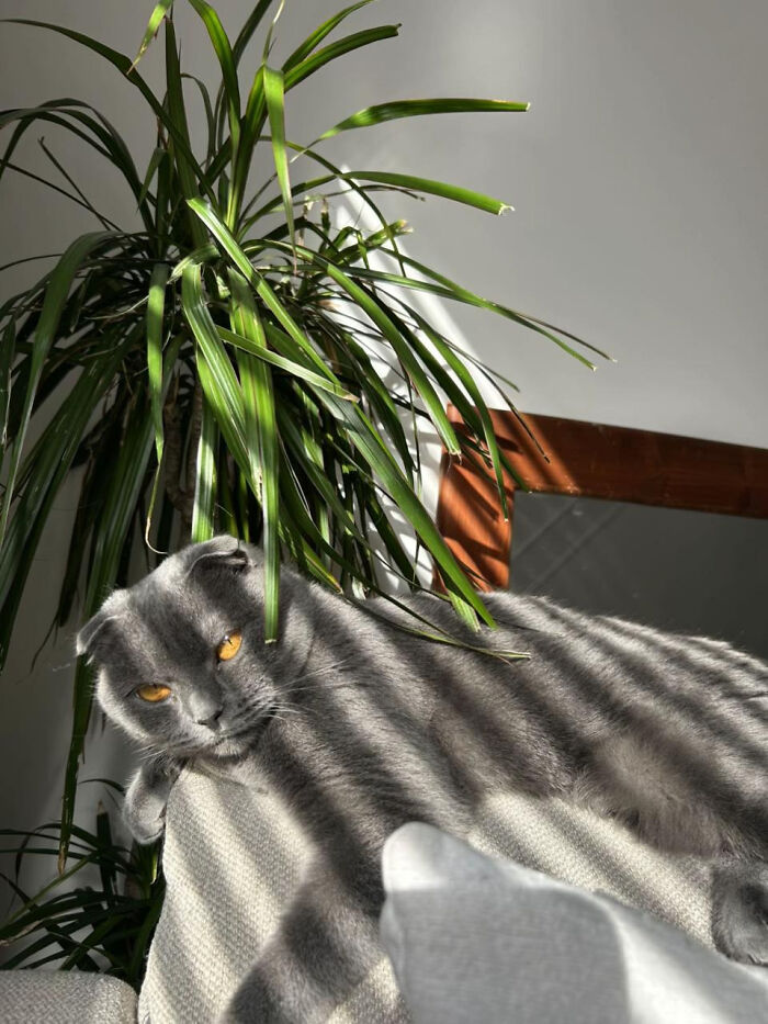 These 81 Photos Look WAY Too Perfect to Be Real