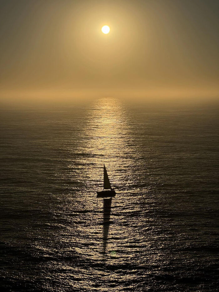 These 81 Photos Look WAY Too Perfect to Be Real