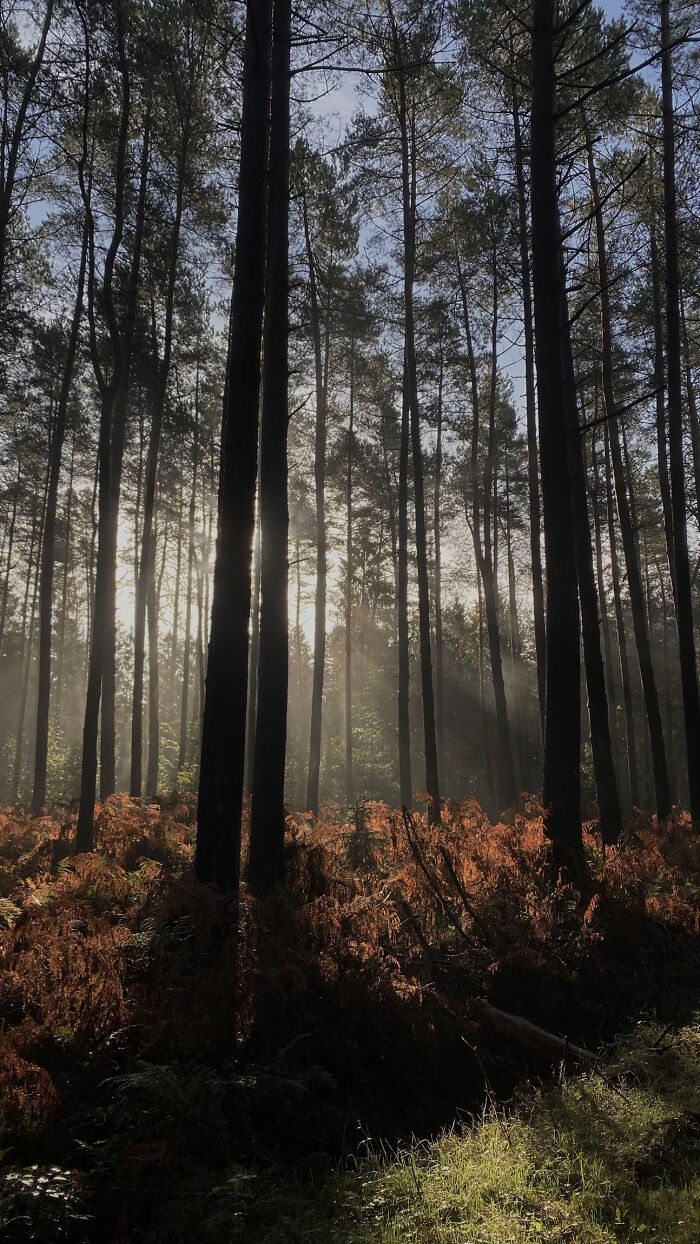 These 81 Photos Look WAY Too Perfect to Be Real
