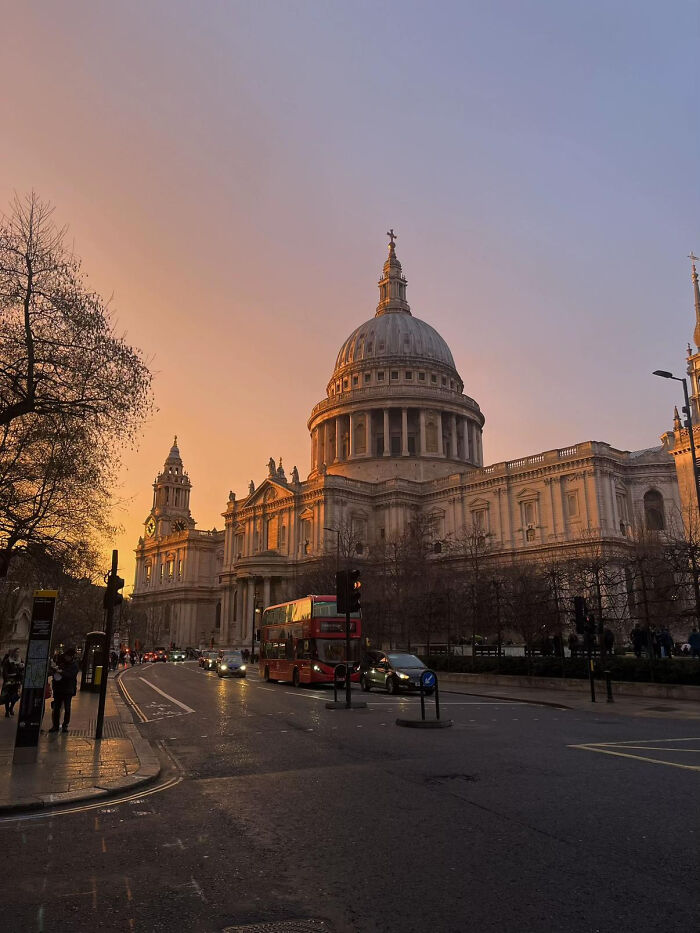 These 81 Photos Look WAY Too Perfect to Be Real
